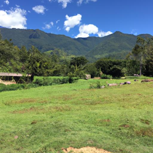 Precios quintal hierro Nicaragua: Guía actualizada y análisis detallado