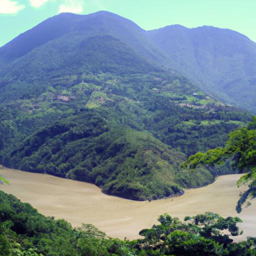 Top empresas productoras de camarones en Nicaragua: ¡Descubre las mejores opciones!