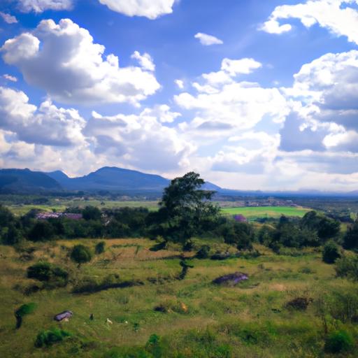 Oportunidades laborales para Ingeniero Agrónomo en Nicaragua