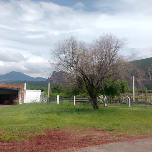 Venta de Caballos Pony en Nicaragua: Descubre todo sobre esta increíble oportunidad equina