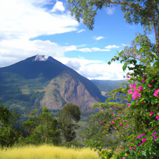 Ley Reguladora de Préstamos Particulares en Nicaragua: Todo lo que necesitas saber