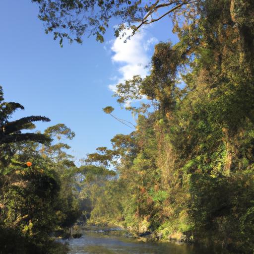 Conoce las principales plantas generadoras de energía en Nicaragua
